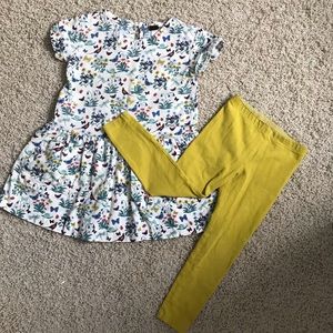 Tea Collection set Sz 5